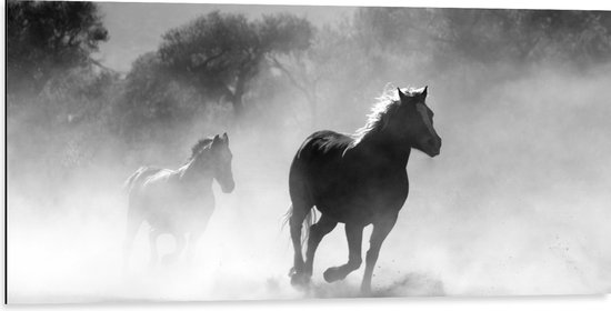WallClassics - Dibond - Galoperende Paarden bij het Bos (Zwart-wit) - 100x50 cm Foto op Aluminium (Wanddecoratie van metaal)