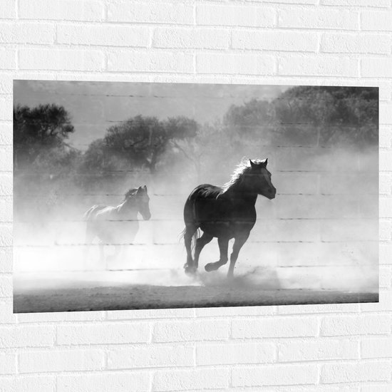 WallClassics - Muursticker - Galoperende Paarden bij het Bos (Zwart-wit) - 105x70 cm Foto op Muursticker