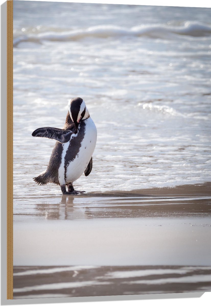 Massief Messing Antarctische Pinguïn Klein Standbeeld Miniatuur Beeldje Bureau Ornament Thee Huisdier Presse-papier Vintage Decoratie Ambachten  15
