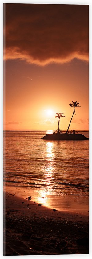 Acrylglas - Tropische Palmbomen op Eilandjes - 20x60 cm Foto op Acrylglas (Wanddecoratie op Acrylaat)