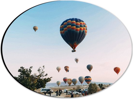 Dibond Ovaal - Veel Luchtballonnen in Licht Roze met Blauwe Lucht - 28x21 cm Foto op Ovaal (Met Ophangsysteem)