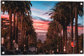 Tuinposter – Los Angeles Hollywood met Palmbomen - 75x50 cm Foto op Tuinposter (wanddecoratie voor buiten en binnen)