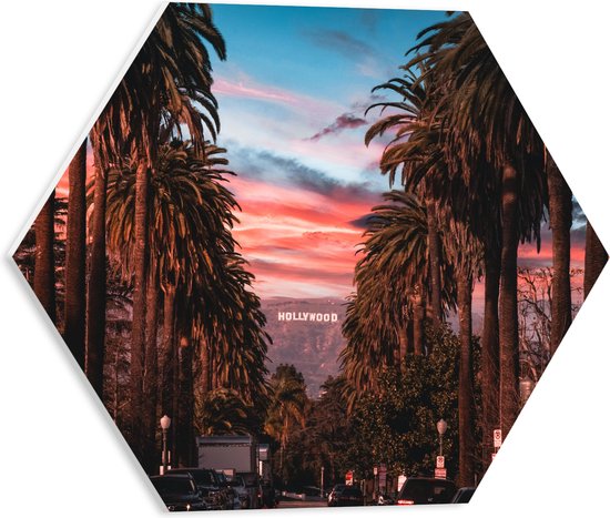 PVC Schuimplaat Hexagon - Los Angeles Hollywood met Palmbomen - 40x34.8 cm Foto op Hexagon (Met Ophangsysteem)