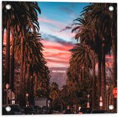Tuinposter – Los Angeles Hollywood met Palmbomen - 50x50 cm Foto op Tuinposter (wanddecoratie voor buiten en binnen)