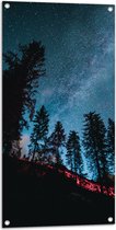 WallClassics - Tuinposter – Onderaanzicht van Hoge Donkere Bomen onder Heldere Sterrenhemel - 50x100 cm Foto op Tuinposter (wanddecoratie voor buiten en binnen)
