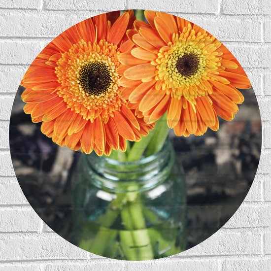 Muursticker Cirkel - Oranje Gerbera Jamesonii Bloemen - 70x70 cm Foto op Muursticker