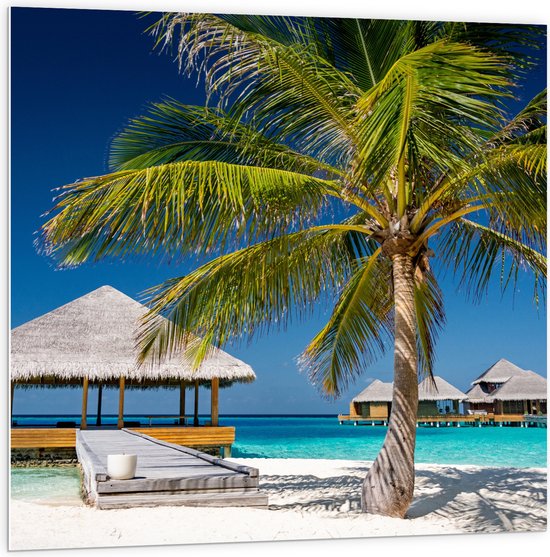 PVC Schuimplaat- Strandhuis op Zee - Malediven - 100x100 cm Foto op PVC Schuimplaat