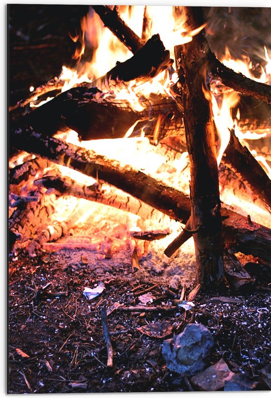 Dibond - Kampvuur in Nacht - 50x75 cm Foto op Aluminium (Met Ophangsysteem)