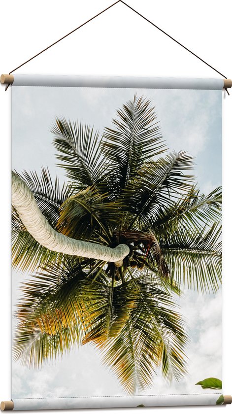 Textielposter - Palmboom vanaf onder - 60x90 cm Foto op Textiel