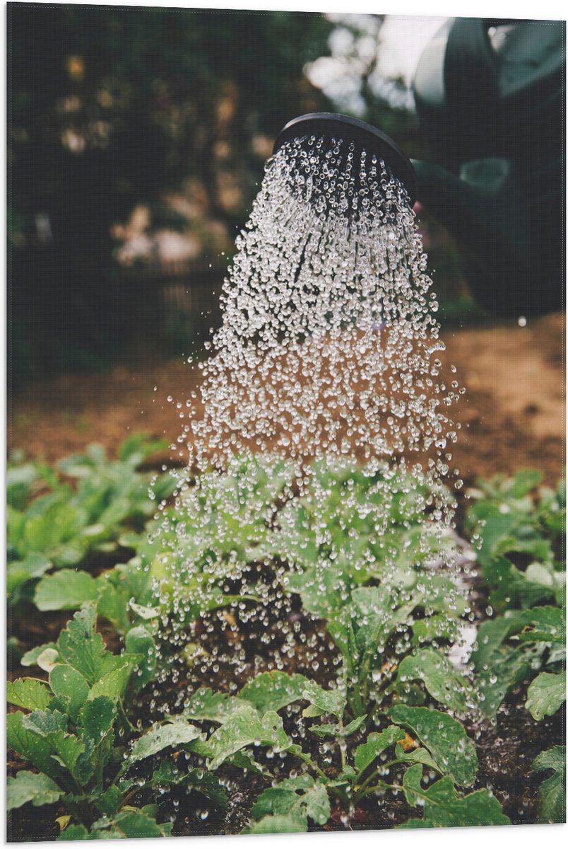 Vlag - Planten Water Geven met Gieter - 60x90 cm Foto op Polyester Vlag