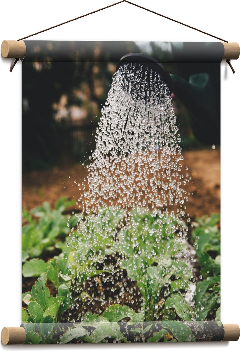 Textielposter - Planten Water Geven met Gieter - 30x40 cm Foto op Textiel