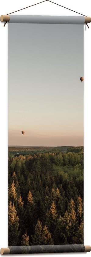 Textielposter - Luchtballonnen boven de Bossen - 30x90 cm Foto op Textiel