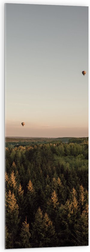 Acrylglas - Luchtballonnen boven de Bossen - 40x120 cm Foto op Acrylglas (Met Ophangsysteem)