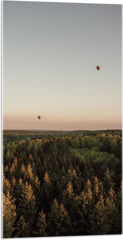 Acrylglas - Luchtballonnen boven de Bossen - 50x100 cm Foto op Acrylglas (Wanddecoratie op Acrylaat)