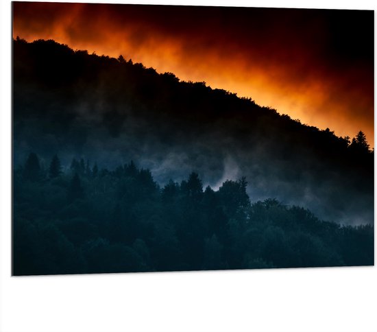 WallClassics - Dibond - Grote Bosbrand achter Berg - 100x75 cm Foto op Aluminium (Met Ophangsysteem)