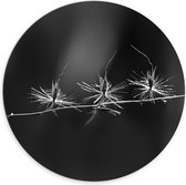 Dibond Muurcirkel - Kleine Bloementjes - Zwart/Wit - 70x70 cm Foto op Aluminium Muurcirkel (met ophangsysteem)