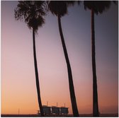 Poster (Mat) - Palmbomen op Strand met Roze Gele Lucht - 50x50 cm Foto op Posterpapier met een Matte look