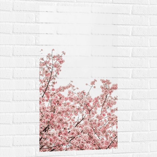 Muursticker - Roze Sakura - 50x100 cm Foto op Muursticker