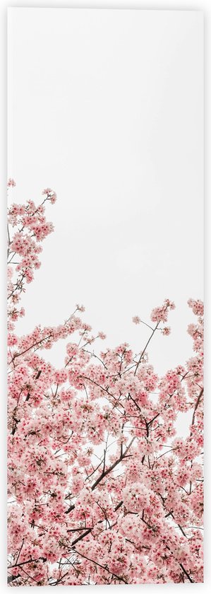 Acrylglas - Roze Sakura - 20x60 cm Foto op Acrylglas (Wanddecoratie op Acrylaat)