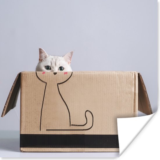 Poster Kat in kartonnen doos met daarop getekend lichaam van kat - 30x30 cm