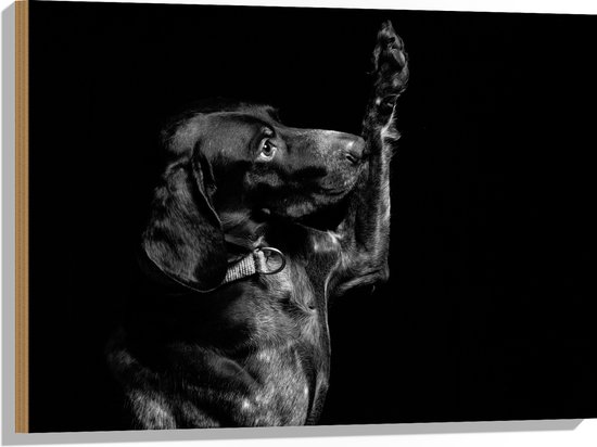 WallClassics - Hout - Zwarte Hond Zegt 'Hoi' - 80x60 cm - 9 mm dik - Foto op Hout (Met Ophangsysteem)