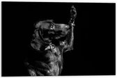 WallClassics - Dibond - Zwarte Hond Zegt 'Hoi' - 60x40 cm Foto op Aluminium (Met Ophangsysteem)