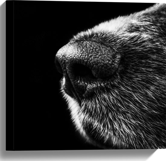 WallClassics - Canvas - Honden Snuit Zwart met Wit - 40x40 cm Foto op Canvas Schilderij (Wanddecoratie op Canvas)