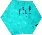 WallClassics - PVC Schuimplaat Hexagon - Dolfijnen in Helder Blauw Water - 70x60.9 cm Foto op Hexagon (Met Ophangsysteem)