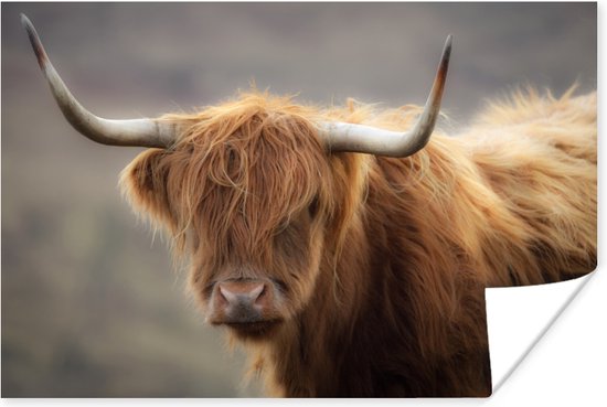 Poster Highlander écossais près d'une montagne papier 180x120 cm - Tirage photo sur Poster (décoration murale salon / chambre) / Poster Animaux sauvages XXL / Groot format!