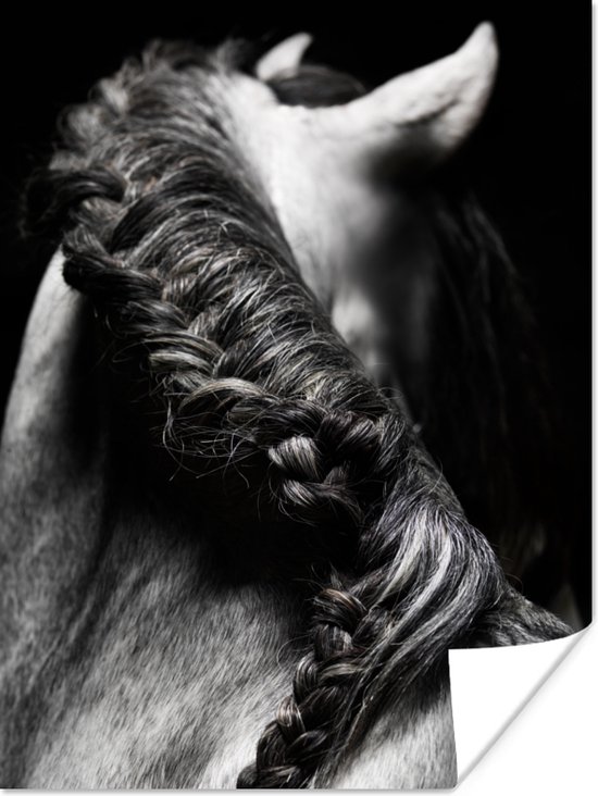 Poster Paard - Vlechten - Zwart - wit - 120x160 cm XXL