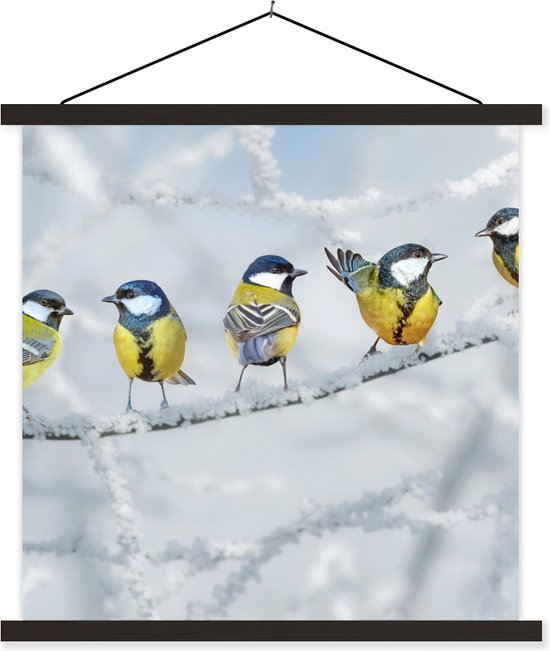 Porte-affiche avec affiche - Affiche scolaire - Vogel - Mésange charbonnière - Hiver - Neige - Branches - 60x60 cm - Lattes noires
