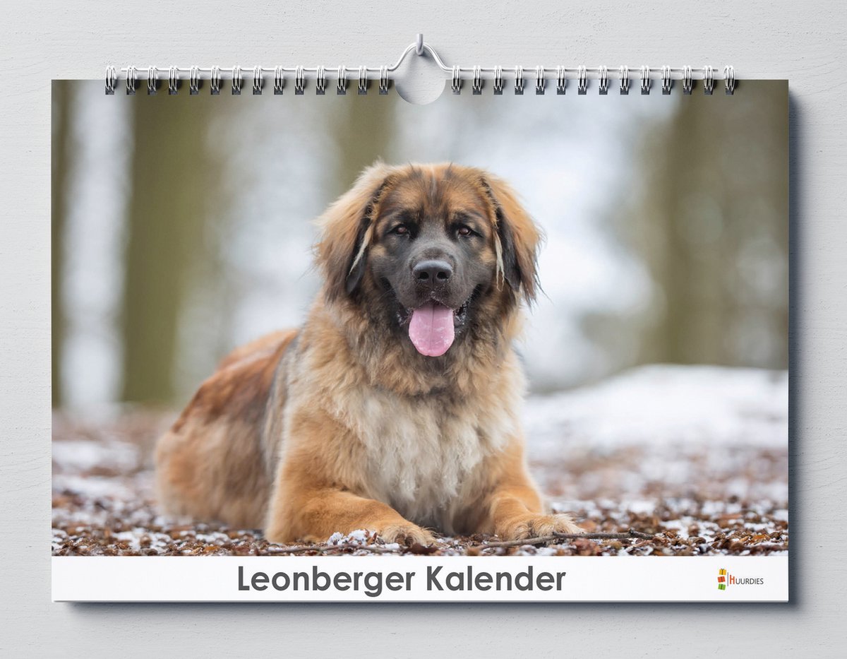 Leonberger Kalender - Verjaardagskalender - 35x24cm - Huurdies
