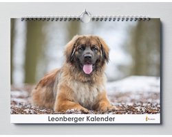 Leonberger Kalender - Verjaardagskalender - 35x24cm - Huurdies