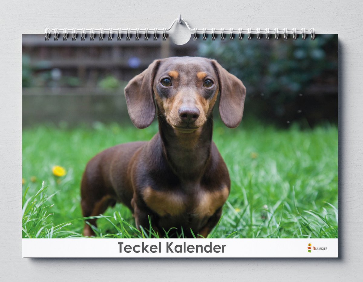 Teckel Kalender - Verjaardagskalender - 35x24cm - Huurdies