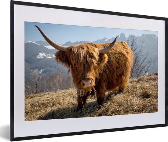 Fotolijst incl. Poster - Schotse Hooglander - Berg - Sneeuw - 60x40 cm - Posterlijst