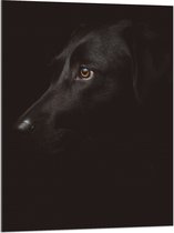 WallClassics - Acrylglas - Zwarte Artistieke Hond - 75x100 cm Foto op Acrylglas (Wanddecoratie op Acrylaat)