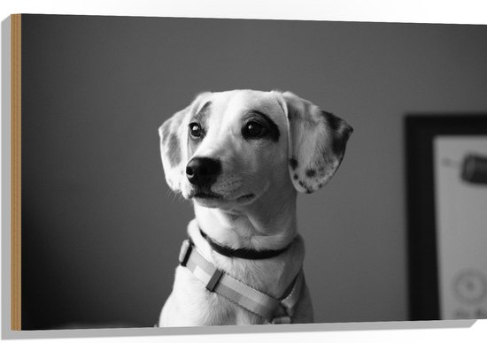 WallClassics - Hout - Whippet Hond Zwart - Wit - 90x60 cm - 9 mm dik - Foto op Hout (Met Ophangsysteem)