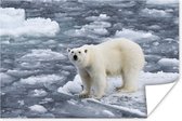 Ijsbeer op Spitsbergen Poster 180x120 cm - Foto print op Poster (wanddecoratie woonkamer / slaapkamer) / Wilde dieren Poster XXL / Groot formaat!