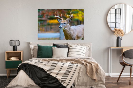 Cerf avec la tête dans l'air poster papier 120x80 cm - Tirage photo sur Poster (décoration murale salon / chambre) / Poster Animaux sauvages