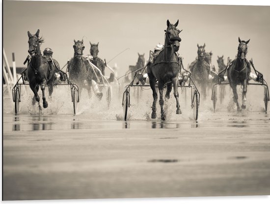 Dibond - Groep Rennende Paarden (zwart- wit) - 80x60 cm Foto op Aluminium (Wanddecoratie van metaal)
