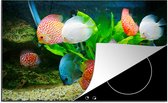KitchenYeah® Inductie beschermer 77x51 cm - Vissen in een aquarium - Kookplaataccessoires - Afdekplaat voor kookplaat - Inductiebeschermer - Inductiemat - Inductieplaat mat