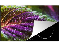 KitchenYeah® Inductie beschermer 77x51 cm - Waterdruppels op de tropische siernetel - Kookplaataccessoires - Afdekplaat voor kookplaat - Inductiebeschermer - Inductiemat - Inductieplaat mat