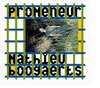 Mathieu Boogaerts - Promeneur (CD)