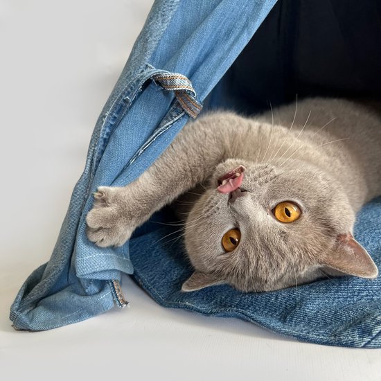 Katten tipi - tipi voor de kat - spijker tipi - kattenhuis - kattenhuisje - katten tent - kattentent - teepee - kattenmand