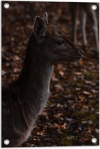 WallClassics - Tuinposter – Opzij kijkend Hert in het Bos - Sikahert - 40x60 cm Foto op Tuinposter (wanddecoratie voor buiten en binnen)