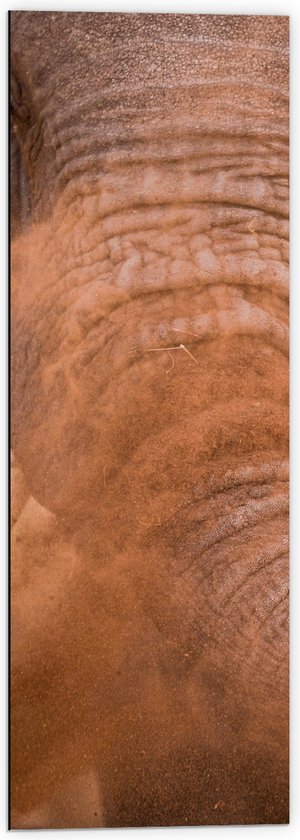 WallClassics - Dibond - Olifant met Zand over Slurf - 40x120 cm Foto op Aluminium (Met Ophangsysteem)