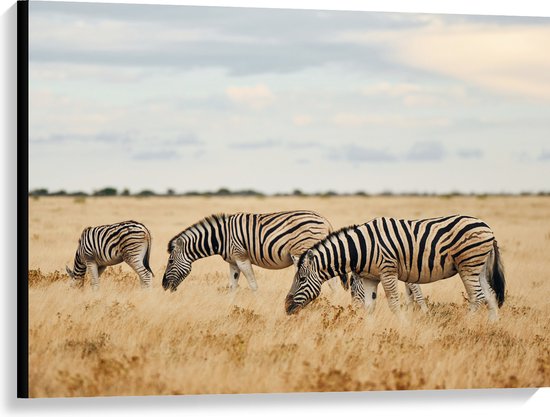 Canvas - Trio van Grazende Zebra's in Droog Afrikaans Landschap - 100x75 cm Foto op Canvas Schilderij (Wanddecoratie op Canvas)