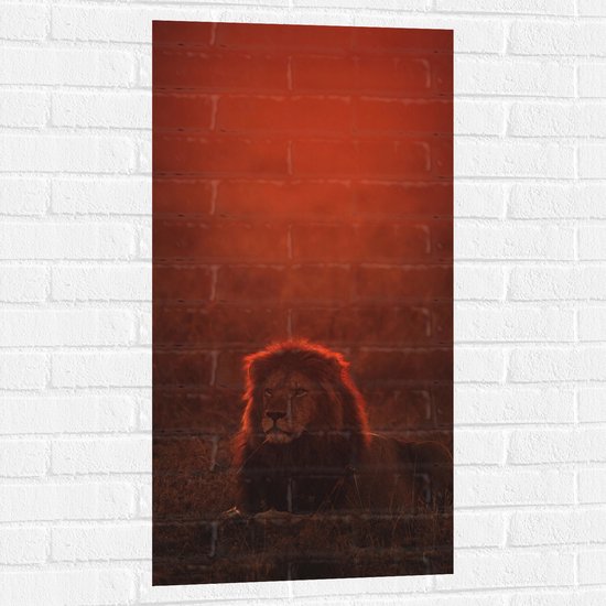WallClassics - Muursticker - Liggende Leeuw met Oranje Gloed - 50x100 cm Foto op Muursticker