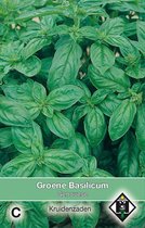 2 stuks Groene basilicum GenoveseVan Hemert & Co