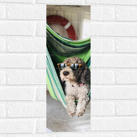 WallClassics - Muursticker - Liggende Hond in Hangmat met Zonnebril - 20x60 cm Foto op Muursticker